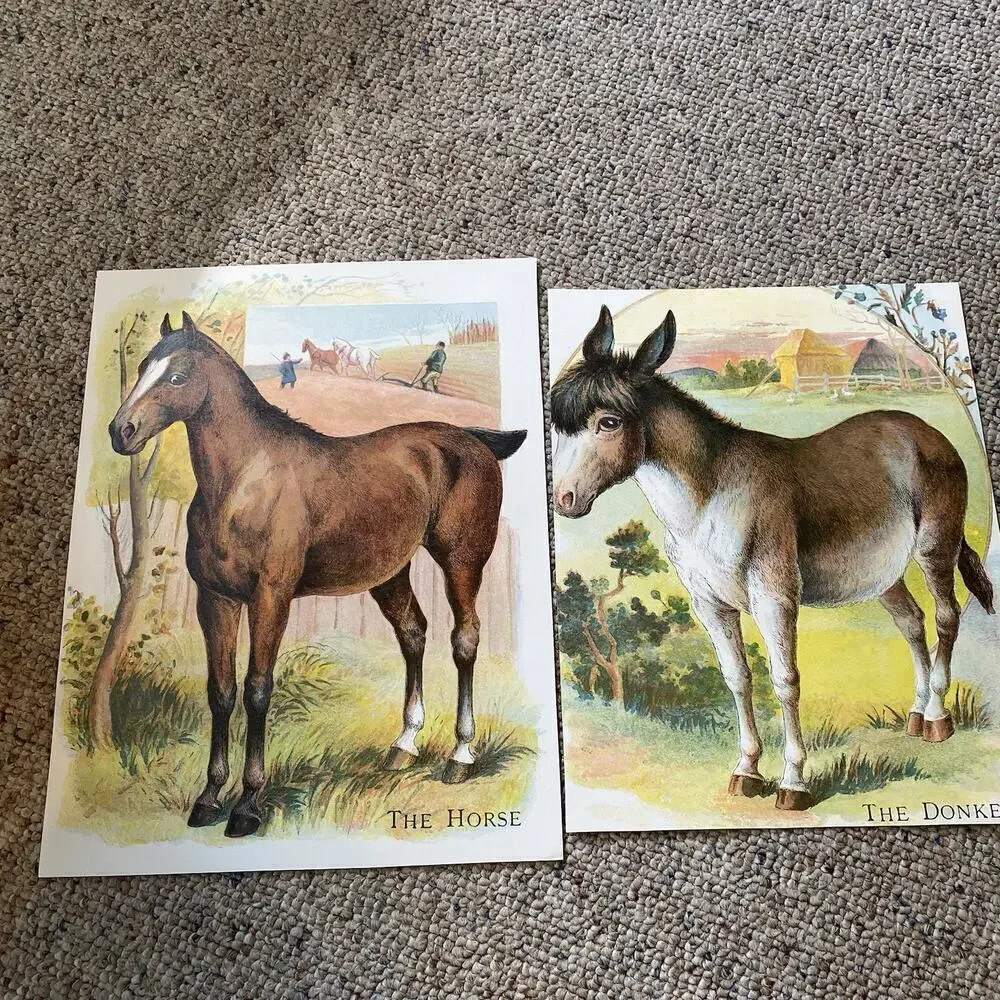 Lot of 2 Vintage Farm Animals Postcards Double Side Printed Cow Reindeer Horse